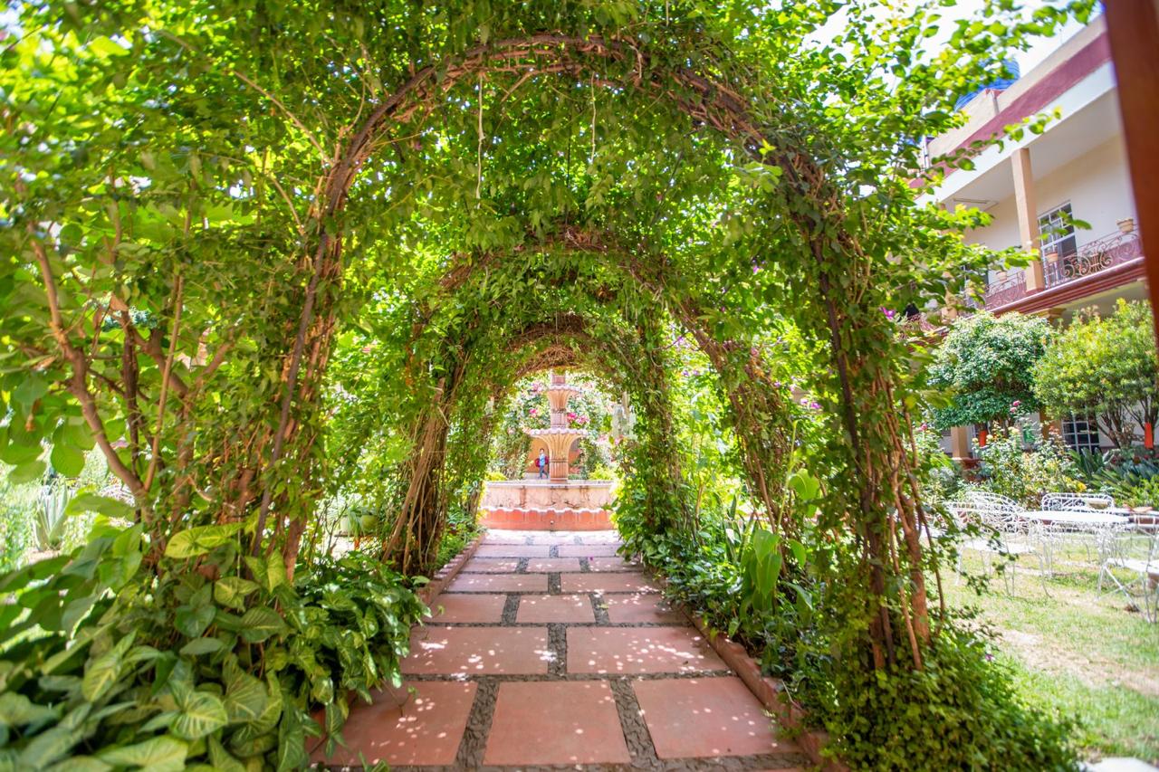 Jardín de la escuela