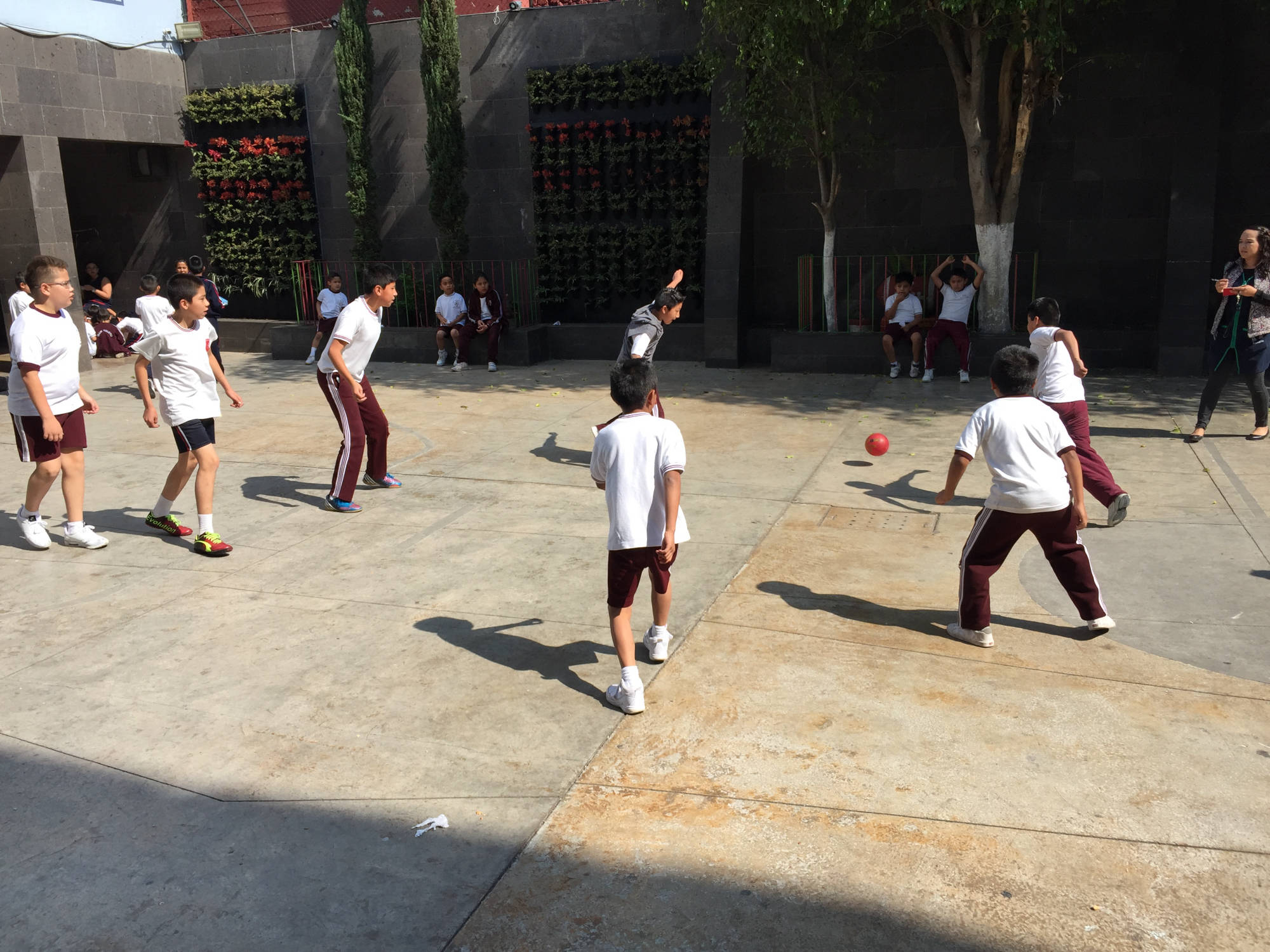 Actividades Deportivas